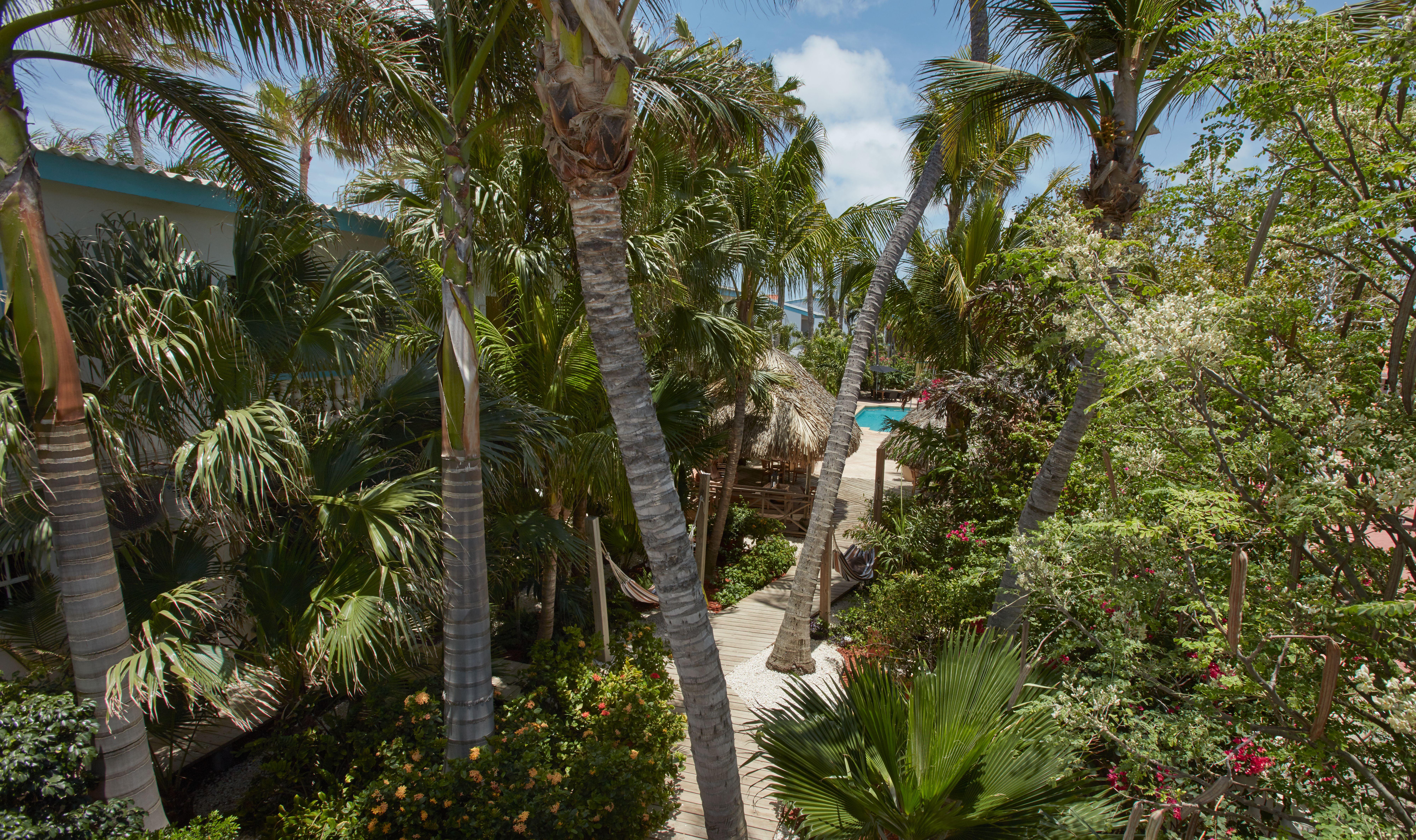 Paradera Park Aruba Oranjestad Exterior photo